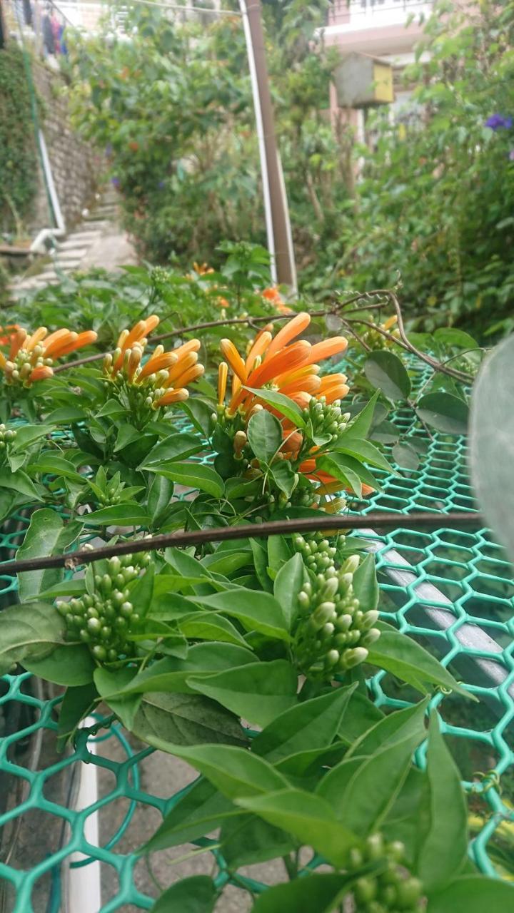 Dalat Inn Homestay Экстерьер фото