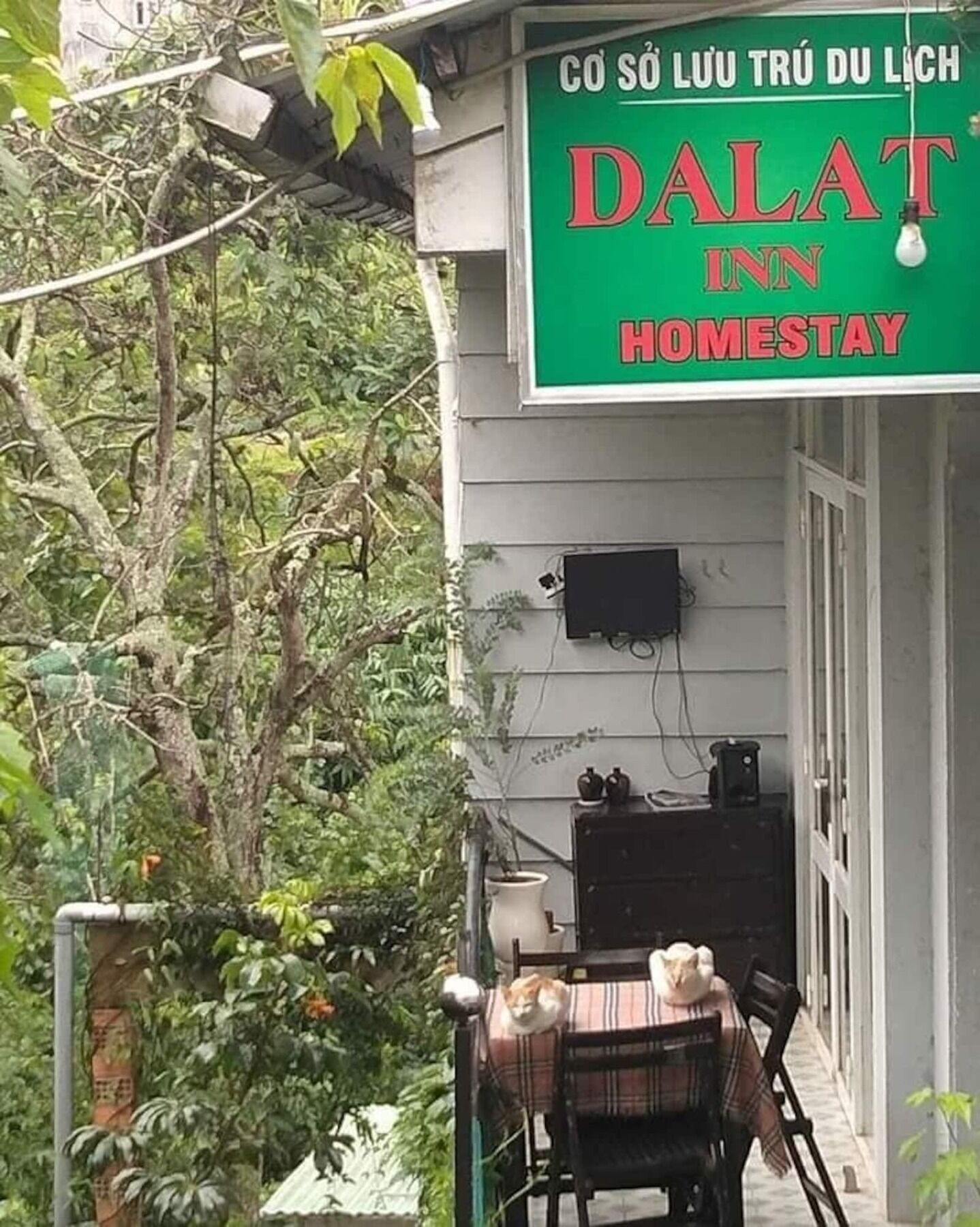 Dalat Inn Homestay Экстерьер фото